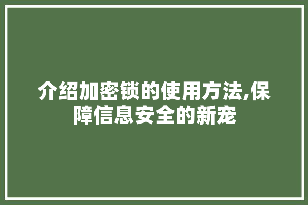 介绍加密锁的使用方法,保障信息安全的新宠