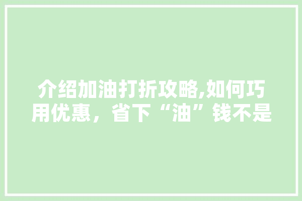 介绍加油打折攻略,如何巧用优惠，省下“油”钱不是梦