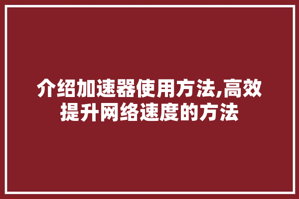 介绍加速器使用方法,高效提升网络速度的方法