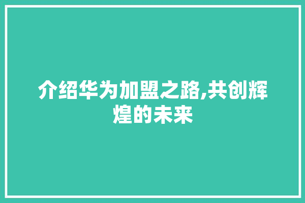 介绍华为加盟之路,共创辉煌的未来