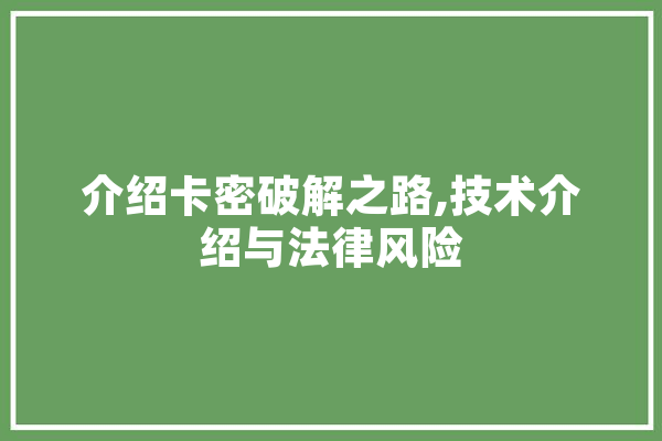 介绍卡密破解之路,技术介绍与法律风险