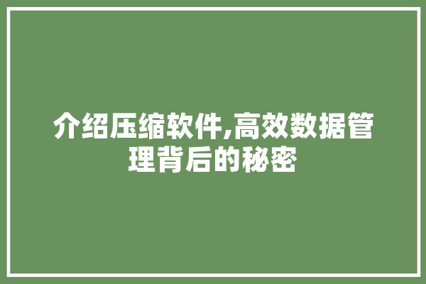 介绍压缩软件,高效数据管理背后的秘密 智能助手