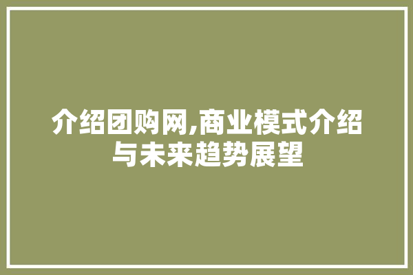 介绍团购网,商业模式介绍与未来趋势展望