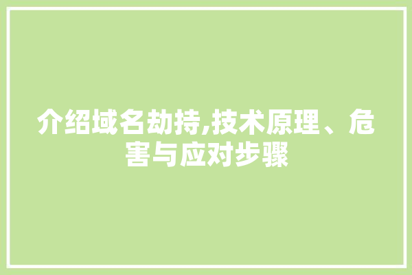 介绍域名劫持,技术原理、危害与应对步骤