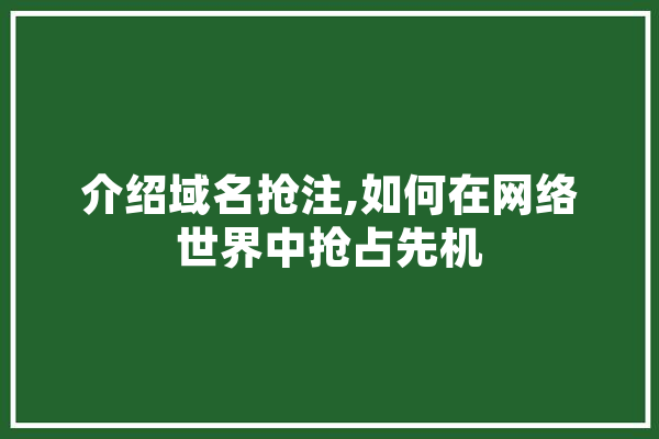 介绍域名抢注,如何在网络世界中抢占先机
