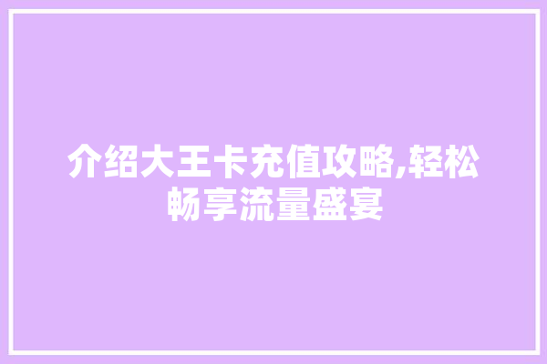 介绍大王卡充值攻略,轻松畅享流量盛宴