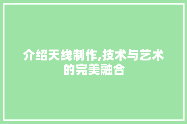 介绍天线制作,技术与艺术的完美融合 文字写作