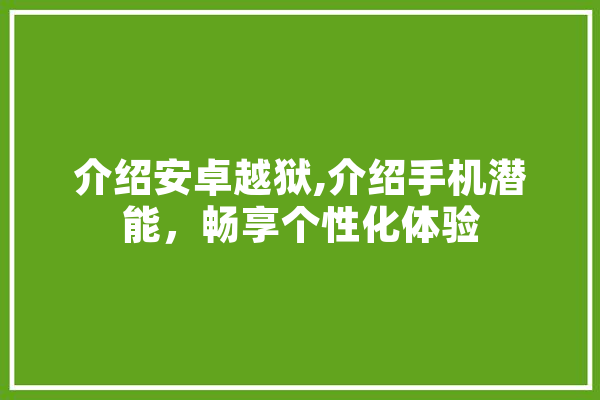 介绍安卓越狱,介绍手机潜能，畅享个性化体验
