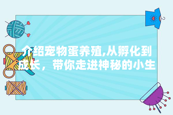 介绍宠物蛋养殖,从孵化到成长，带你走进神秘的小生命世界