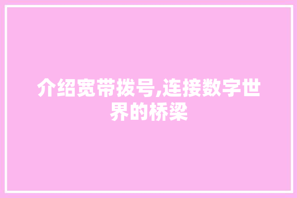 介绍宽带拨号,连接数字世界的桥梁