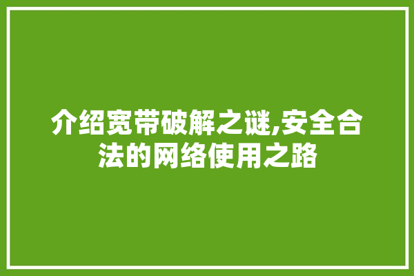 介绍宽带破解之谜,安全合法的网络使用之路