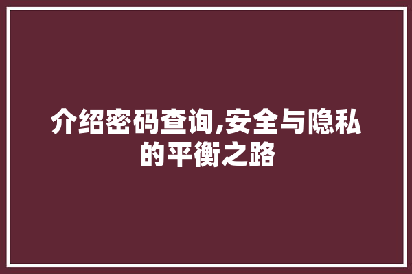 介绍密码查询,安全与隐私的平衡之路 云服务