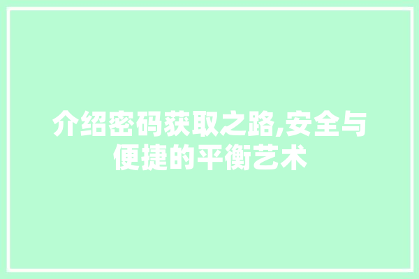 介绍密码获取之路,安全与便捷的平衡艺术