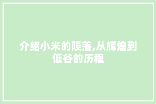 介绍小米的陨落,从辉煌到低谷的历程