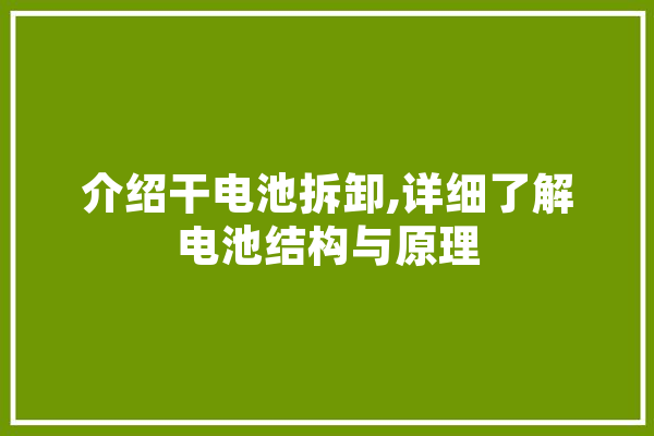 介绍干电池拆卸,详细了解电池结构与原理