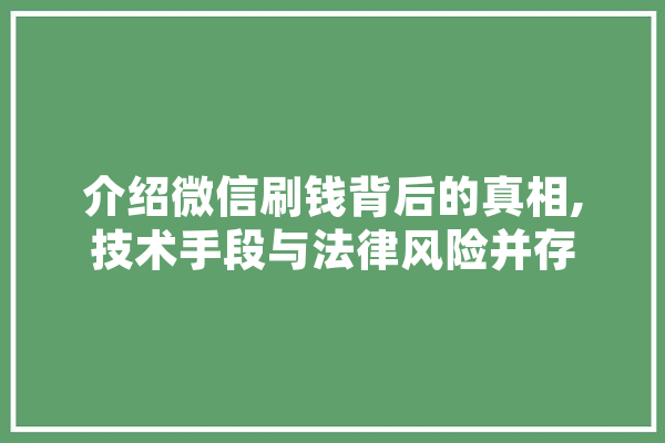介绍微信刷钱背后的真相,技术手段与法律风险并存 智能助手