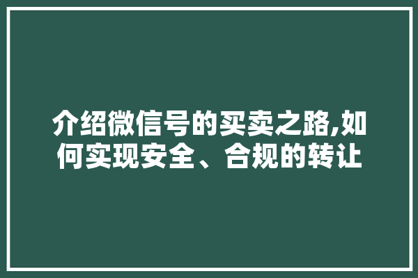 介绍微信号的买卖之路,如何实现安全、合规的转让 绘影字幕