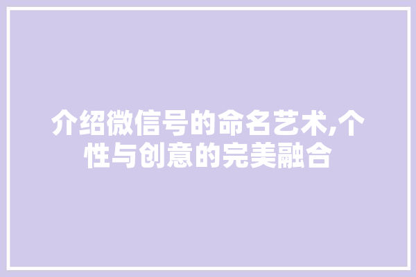 介绍微信号的命名艺术,个性与创意的完美融合