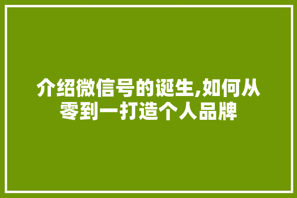 介绍微信号的诞生,如何从零到一打造个人品牌