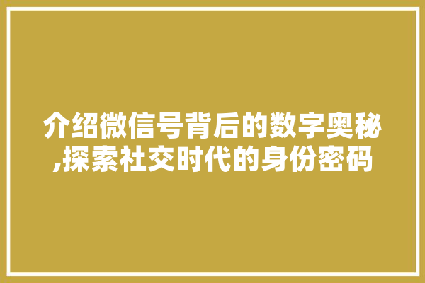 介绍微信号背后的数字奥秘,探索社交时代的身份密码