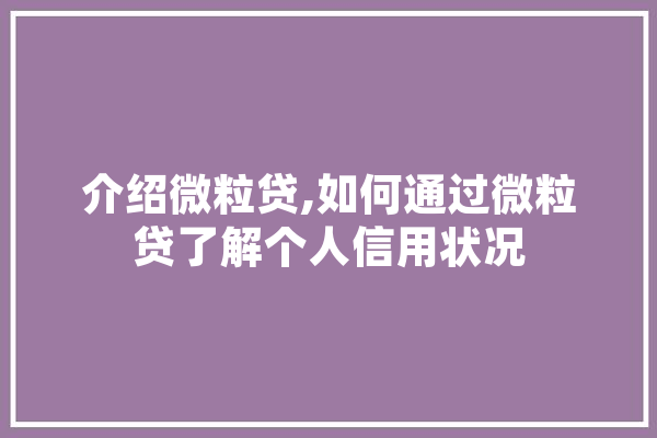 介绍微粒贷,如何通过微粒贷了解个人信用状况 AI快讯