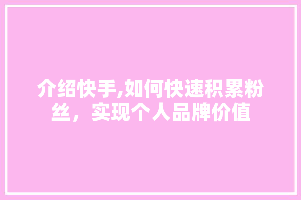 介绍快手,如何快速积累粉丝，实现个人品牌价值