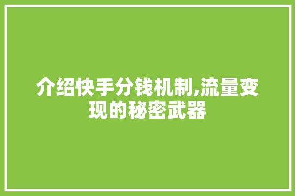 介绍快手分钱机制,流量变现的秘密武器 计算机