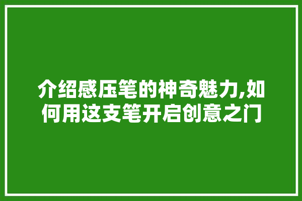 介绍感压笔的神奇魅力,如何用这支笔开启创意之门