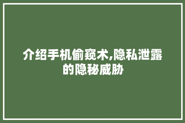 介绍手机偷窥术,隐私泄露的隐秘威胁 文字写作