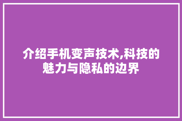 介绍手机变声技术,科技的魅力与隐私的边界