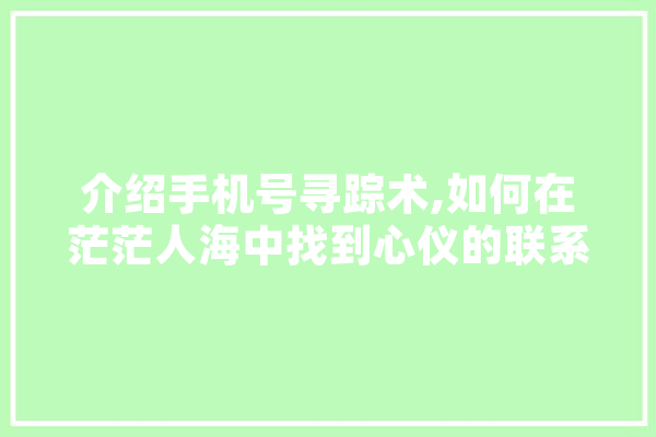 介绍手机号寻踪术,如何在茫茫人海中找到心仪的联系方式