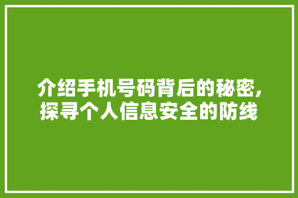 介绍手机号码背后的秘密,探寻个人信息安全的防线