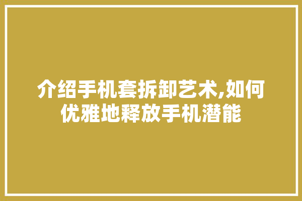 介绍手机套拆卸艺术,如何优雅地释放手机潜能