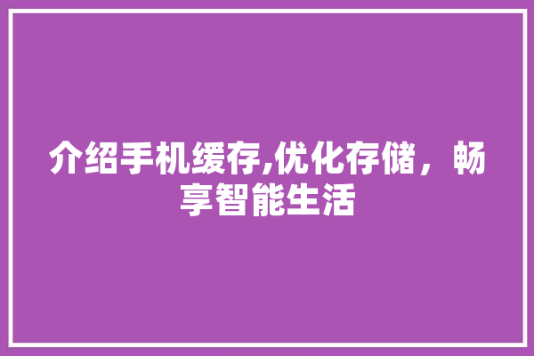 介绍手机缓存,优化存储，畅享智能生活 智能问答