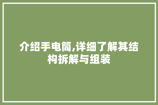 介绍手电筒,详细了解其结构拆解与组装 云服务