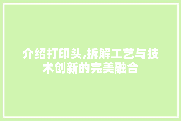 介绍打印头,拆解工艺与技术创新的完美融合