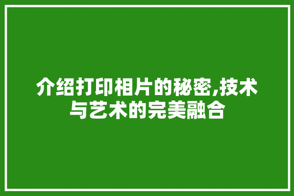 介绍打印相片的秘密,技术与艺术的完美融合
