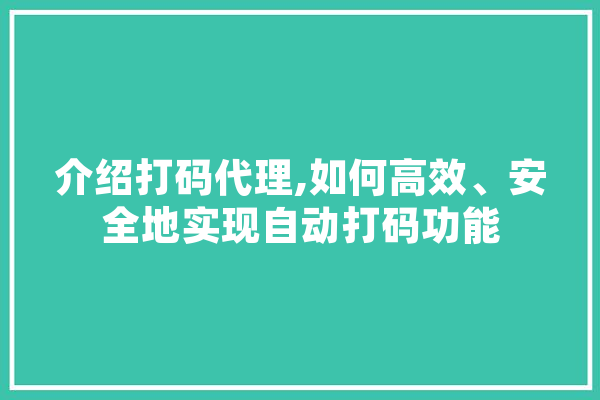 介绍打码代理,如何高效、安全地实现自动打码功能