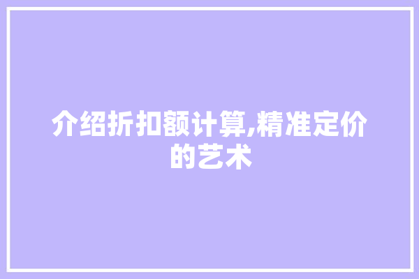 介绍折扣额计算,精准定价的艺术