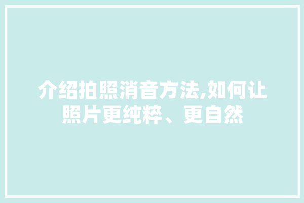 介绍拍照消音方法,如何让照片更纯粹、更自然