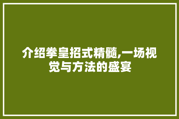 介绍拳皇招式精髓,一场视觉与方法的盛宴