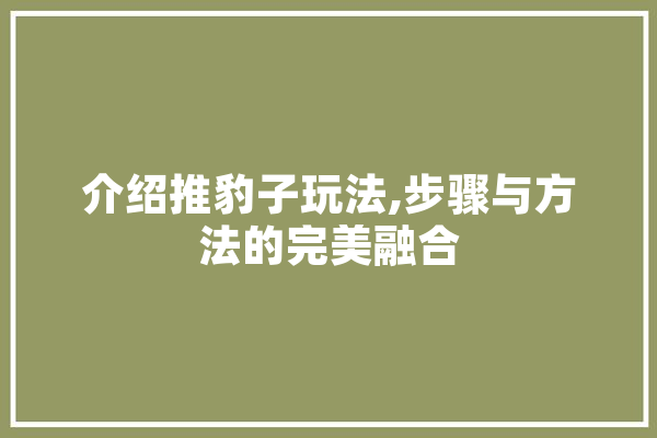 介绍推豹子玩法,步骤与方法的完美融合 云服务