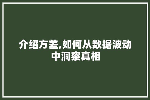 介绍方差,如何从数据波动中洞察真相 计算机