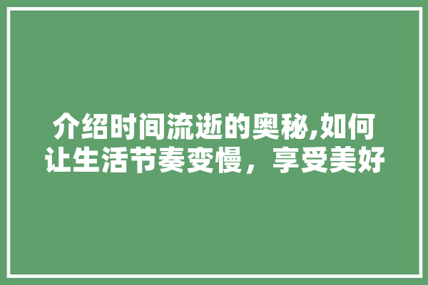 介绍时间流逝的奥秘,如何让生活节奏变慢，享受美好时光