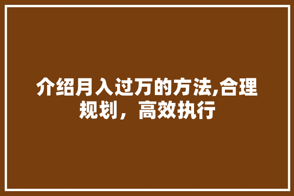 介绍月入过万的方法,合理规划，高效执行