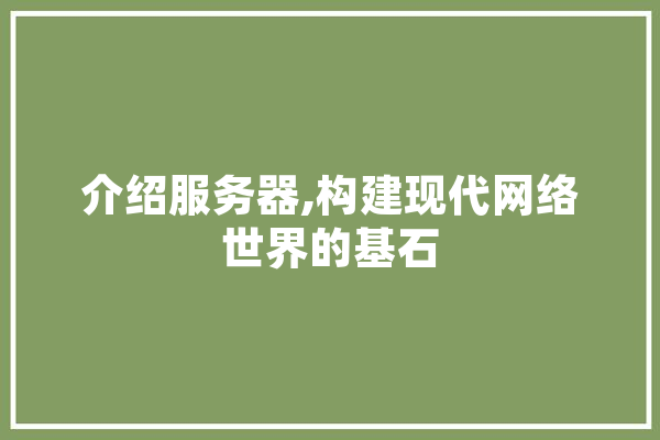 介绍服务器,构建现代网络世界的基石