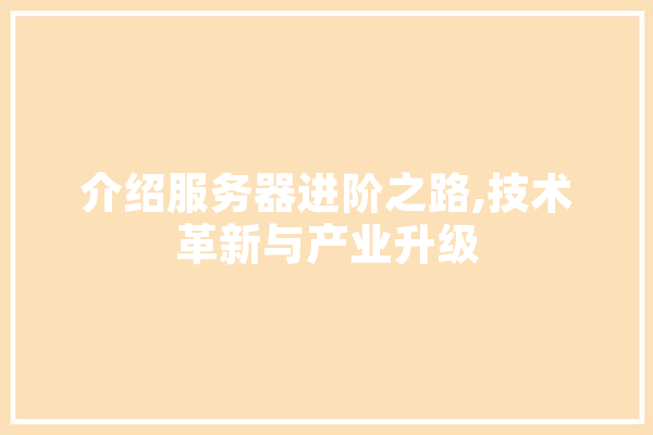 介绍服务器进阶之路,技术革新与产业升级