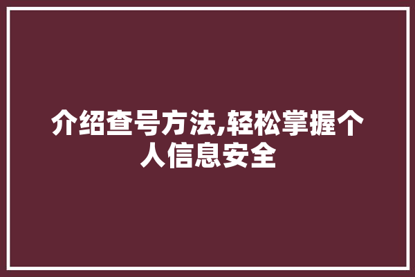 介绍查号方法,轻松掌握个人信息安全