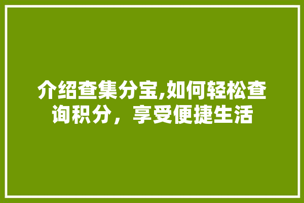 介绍查集分宝,如何轻松查询积分，享受便捷生活