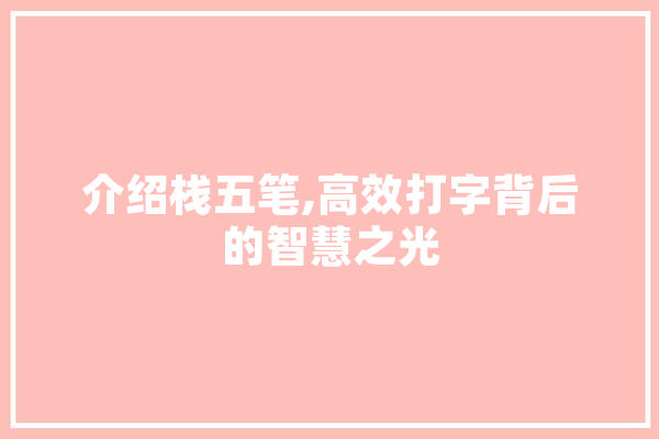 介绍栈五笔,高效打字背后的智慧之光